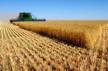 Analytical Report on the Agricultural and Industrial Situation of the Country
