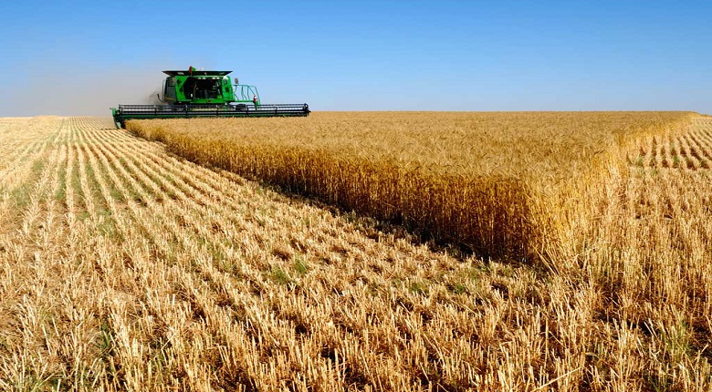 Analytical Report on the Agricultural and Industrial Situation of the Country