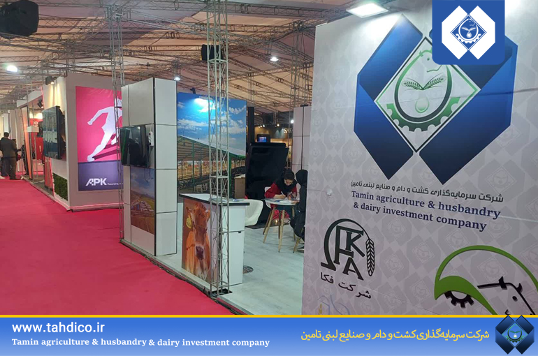 حضور هلدینگ تادیکو در نمایشگاه‌ کار «کاپ تلنت»