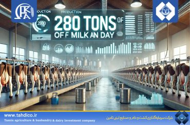 “Record-Breaking Achievement of Knowledge-Based Company Keshte Dam Feka with Daily Production of 280 Tons of Milk”