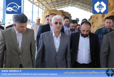 Support of the Governor of North Khorasan Province for the Large-Scale 10,000-Head Dairy Farming Project in Shirvan; Project Nearing Inauguration