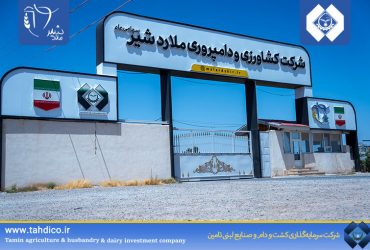 10% increase in raw milk production at Mallardshir Company during the first three months of 1404 compared to the same period last year