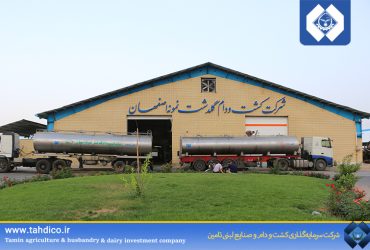 Goldasht Company breaks record in milk production; average exceeds 47 kilograms in June 2025