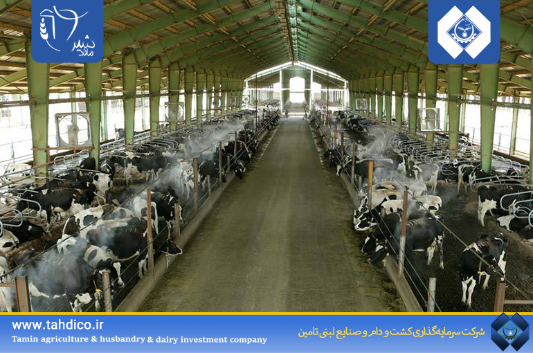 Significant 237% Growth in Operating Profit of Malardshir in the First Quarter of 2025