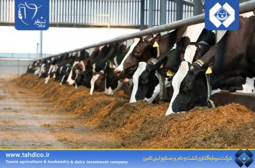 185% Growth in Net Profit for Malardshir Company in the First Quarter of 2025 Compared to the Same Period Last Year