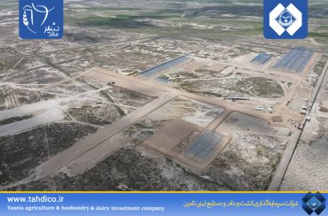 Governor of Hamedan Visits Tadico’s 6,000-Head Industrial Dairy Project in Malayer