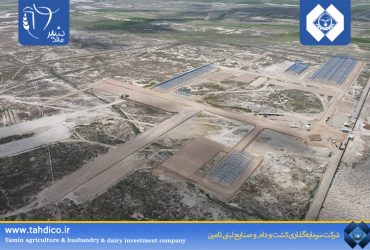 Governor of Hamedan Visits Tadico’s 6,000-Head Industrial Dairy Project in Malayer