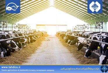 Goldasht Reports 77% Growth in Operating Revenue in August Compared to Last Year