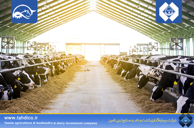 Goldasht Reports 77% Growth in Operating Revenue in August Compared to Last Year