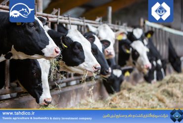 Commencement of Operations at GolDasht Nemouneh Esfahan’s Third National Project / First Phase of Livestock Enter Shirvan Project