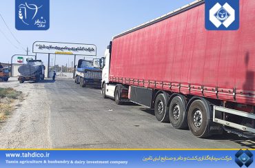 Import of 102 tons of powder by Malardshir Company at a purchase price 34 percent lower than the same period last year