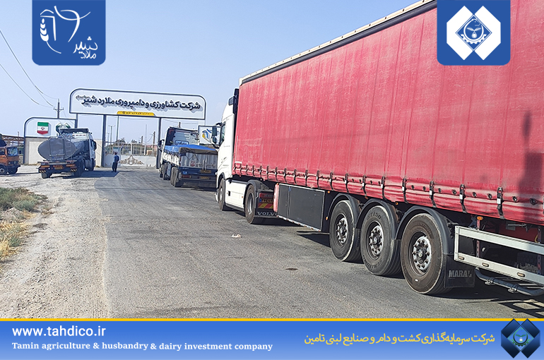 Import of 102 tons of powder by Malardshir Company at a purchase price 34 percent lower than the same period last year