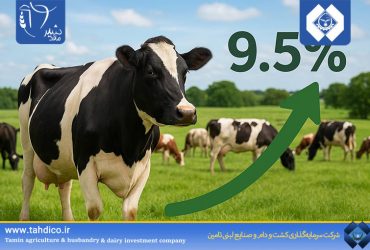 9.5% Growth in the Number of Pregnant Productive Cows at Malardshir Company in September 2025