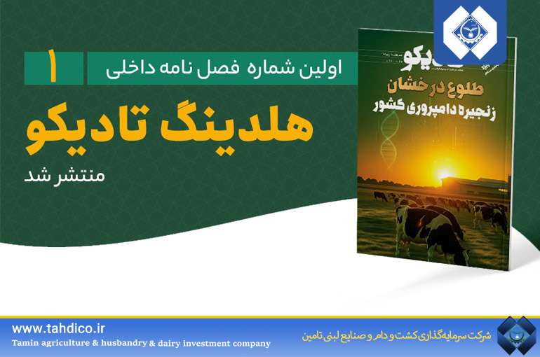 Publication of Tadico Holding’s Internal Quarterly Magazine Featuring a Special Focus on “Knowledge-Based Development, Innovation, and Internationalization”