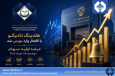 Tadico IPO on the Tehran Stock Exchange: A Strategic Player Enters the Capital Market