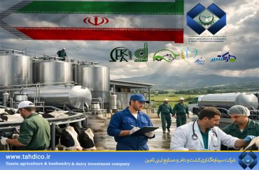 TADICO: A Pillar of Production and Food Security During Times of Conflict