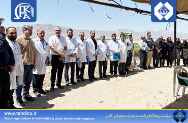 Innovation in the Field: Fka Leads the Way in Knowledge-Based Agriculture