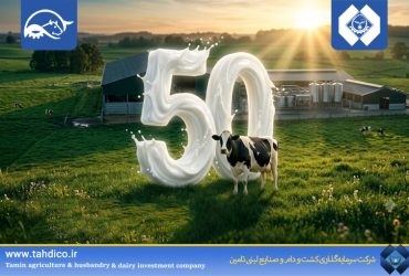 Historical Milk Production Record at Dargazin Unit: Daily Average Reaches 50 kg