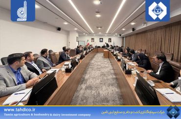 New Opportunities for TADICO Shareholders; Aras Dam Arsham’s Stock Market Admission and Offering Process Reviewed