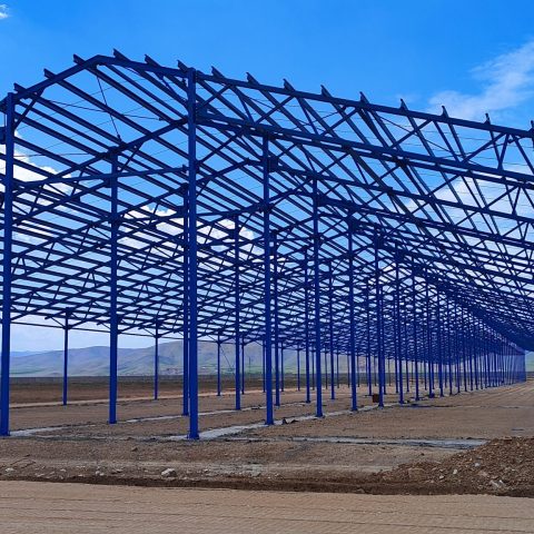 دامداری 3000 راسی ملایر