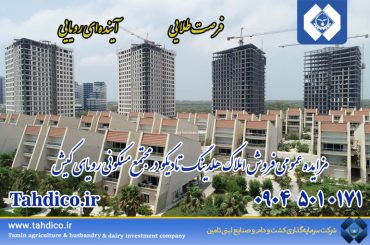 آگهی مزایده عمومی فروش املاک مازاد هلدینگ تادیکو(شستا) در جزیره کیش(نوبت اول)