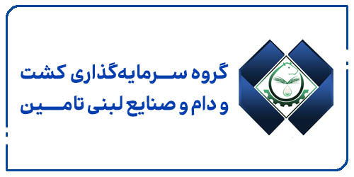 about_0 copy