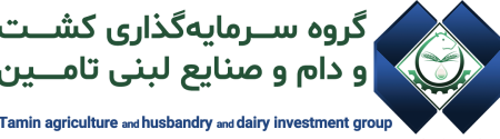 logo-tadico new