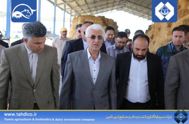 حمایت استاندار استان خراسان شمالی از پروژه عظیم دامداری ۱۰ هزار رأسی شیروان؛ پروژه در آستانه افتتاح