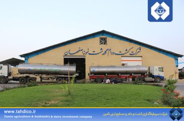 رکوردشکنی شرکت گلدشت در تولید شیر؛ عبور میانگین از ۴۷ کیلوگرم در خرداد ۱۴۰۴