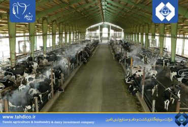 افزایش چشمگیر رشد 237 درصدی سود عملیاتی ملاردشیر در سه ماه نخست سال 1404