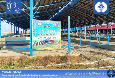 افتتاح پروژه سالن 315 رأسی فری استال شرکت ملاردشیر