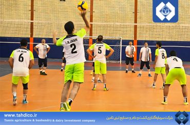 برگزاری مسابقات والیبال گروه تادیکو به مناسبت گرامیداشت هفتهٔ دفاع مقدس