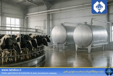 یک‌سوم تولید شیر شرکت‌های بورسی در اختیار تادیکو؛ ۲۳۶ هزار تن ثبت شد