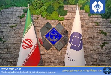 رشد ۹۷ درصدی سود خالص تادیکو؛ تصویب صورت‌های مالی ۱۴۰۳ با فروش ۵٬۲۱۸ میلیارد تومان