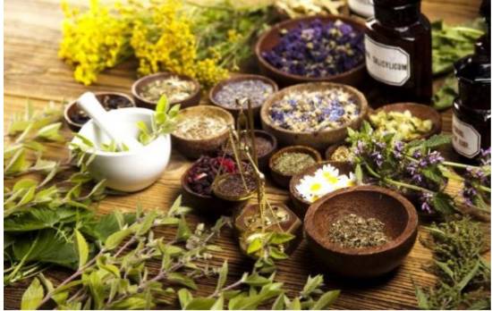 چالشها و راهکارهای مدیریت بهره برداری گیاهان دارویی از منابع طبیعی