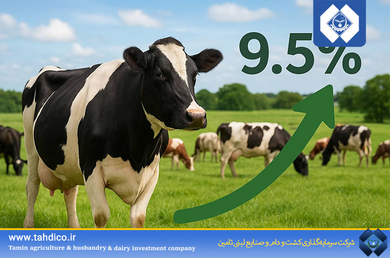 رشد 9.5 درصدی تعداد دام مولد آبستن در گله شرکت ملاردشیر در شهریورماه 1404