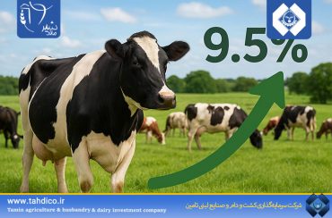 رشد 9.5 درصدی تعداد دام مولد آبستن در گله شرکت ملاردشیر در شهریورماه 1404