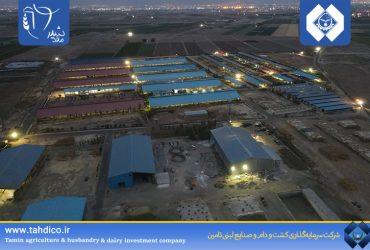 رشد 63 درصدی درآمد عملیاتی شرکت ملاردشیر در شش‌ ماه نخست سال 1404 نسبت به دوره مشابه سال گذشته