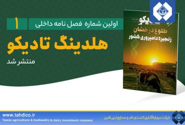 انتشار فصلنامه داخلی هلدینگ تادیکو با پرونده ویژه «دانش‌بنیان، نوآوری و بین‌الملل»