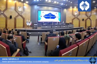 هلدینگ ۱۸ همتی شستا آماده عرضه سهام در بازار سرمایه