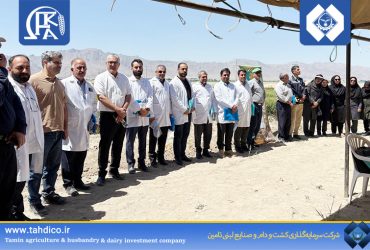 نوآوری در مزرعه؛ فکا پیشگام کشاورزی دانش‌بنیان کشور