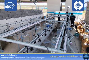 آغاز عملیات نصب دستگاه شیردوش پیشرفته در «گلدشت نمونه شیروان» با هدف افزایش بهره‌وری