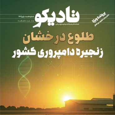 نشریه تادیکو (شماره اول) پاییز ۱۴۰۴