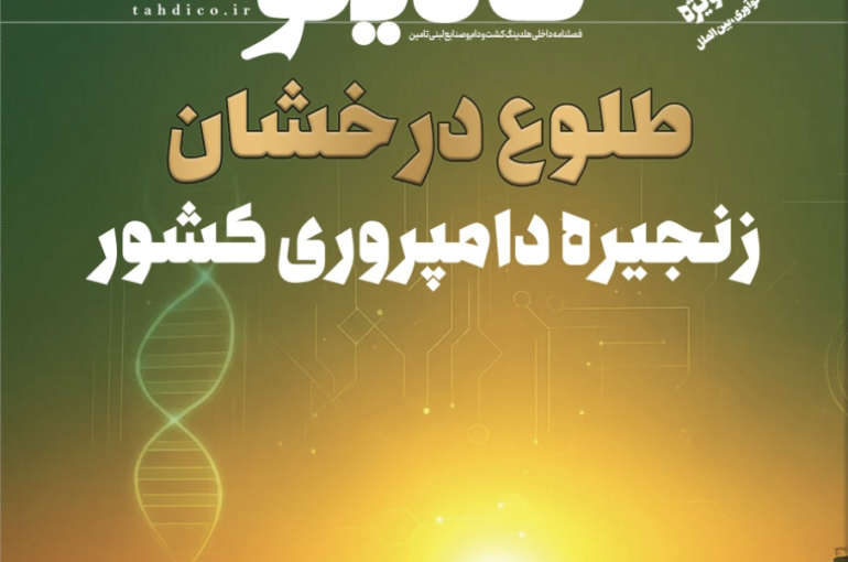 نشریه تادیکو (شماره اول) پاییز ۱۴۰۴