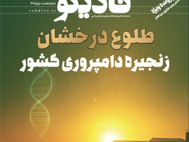 نشریه تادیکو (شماره اول) پاییز ۱۴۰۴
