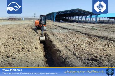 آغاز عملیات اجرایی ساخت سالن‌های گاو شیری شماره ۲ در  واحد های دلفان و درگزین