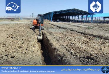 آغاز عملیات اجرایی ساخت سالن‌های گاو شیری شماره ۲ در  واحد های دلفان و درگزین