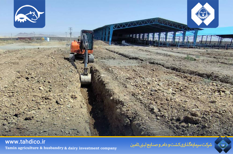آغاز عملیات اجرایی ساخت سالن‌های گاو شیری شماره ۲ در  واحد های دلفان و درگزین