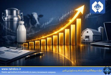 سیگنال بنیادین مثبت از شرکت‌های تابعه تادیکو؛ رشد متوازن و سودآوری چندبرابری نسبت به صنعت