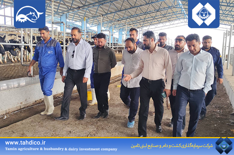 بازدید میدانی مدیرعامل هلدینگ تادیکو از واحد درگزین شرکت گلدشت نمونه اصفهان